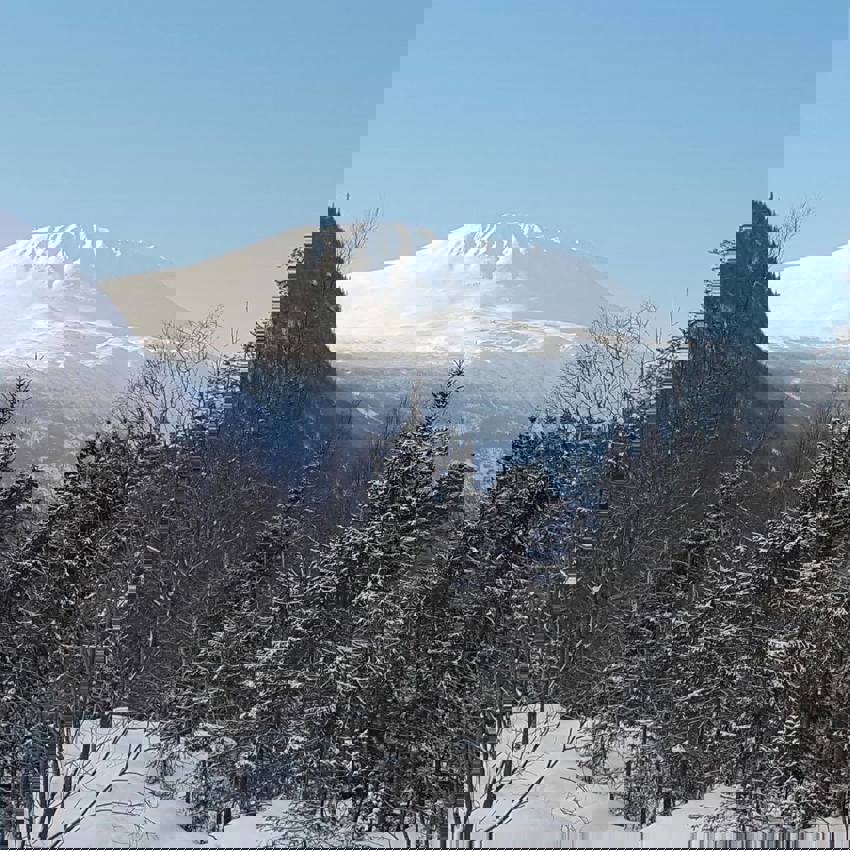 Året som gikk og Året som banker på