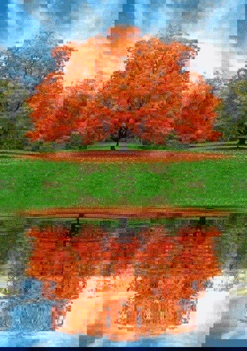 Å bruke sin historie til å se mulighetene